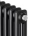 Дизайн-радиатор Royal Thermo Insignia C2180 14 секций RAL9005m
